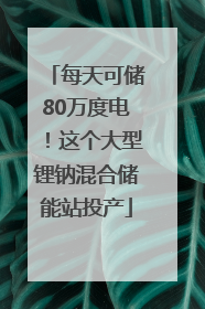 每天可储80万度电！这个大型锂钠混合储能站投产