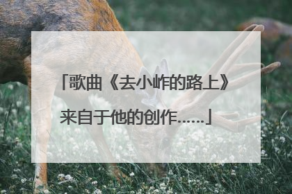 歌曲《去小岞的路上》来自于他的创作……