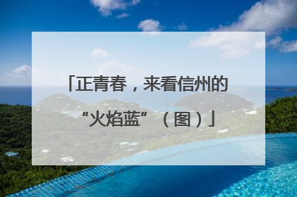 正青春，来看信州的“火焰蓝”（图）