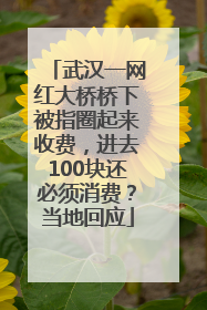 武汉一网红大桥桥下被指圈起来收费，进去100块还必须消费？当地回应