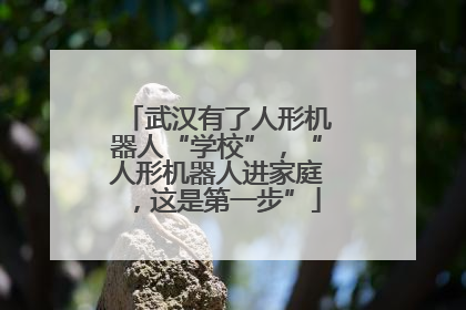武汉有了人形机器人“学校”，“人形机器人进家庭，这是第一步”