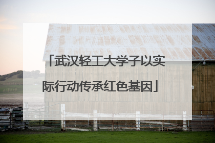 武汉轻工大学子以实际行动传承红色基因