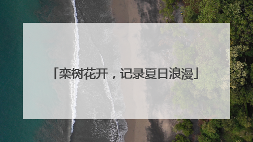 栾树花开，记录夏日浪漫