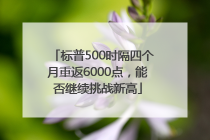 标普500时隔四个月重返6000点，能否继续挑战新高