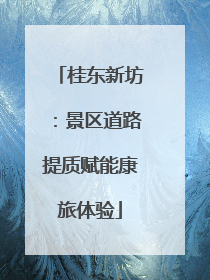 桂东新坊：景区道路提质赋能康旅体验