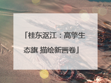 桂东沤江：高擎生态旗 描绘新画卷