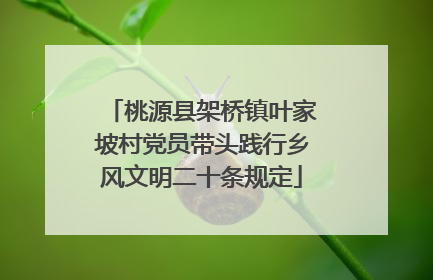 桃源县架桥镇叶家坡村党员带头践行乡风文明二十条规定