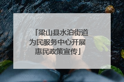 梁山县水泊街道为民服务中心开展惠民政策宣传