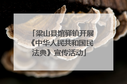 梁山县馆驿镇开展《中华人民共和国民法典》宣传活动