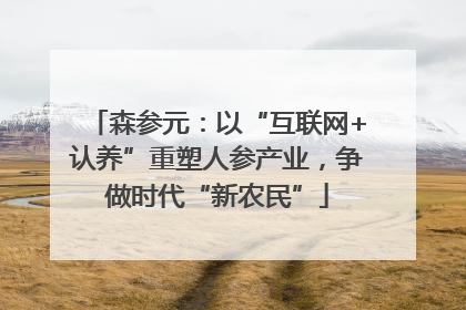 森参元：以“互联网+认养”重塑人参产业，争做时代“新农民”