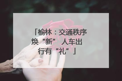 榆林：交通秩序焕“新” 人车出行有“礼”