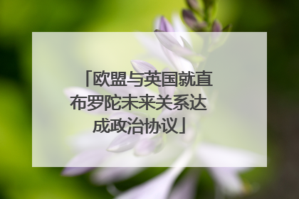 欧盟与英国就直布罗陀未来关系达成政治协议