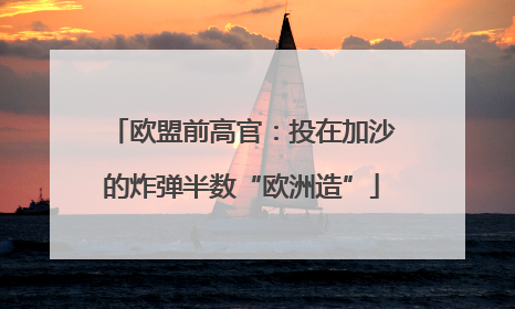 欧盟前高官：投在加沙的炸弹半数“欧洲造”