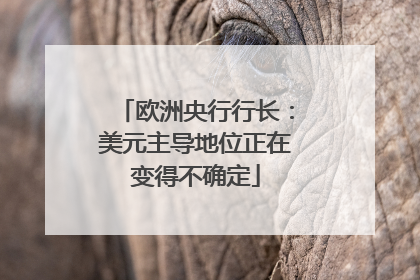 欧洲央行行长：美元主导地位正在变得不确定