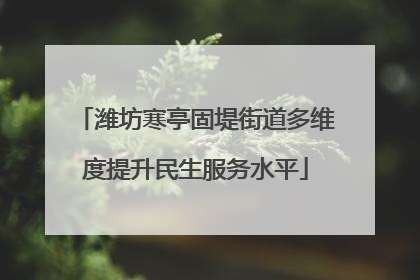 潍坊寒亭固堤街道多维度提升民生服务水平