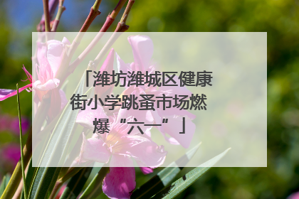 潍坊潍城区健康街小学跳蚤市场燃爆“六一”