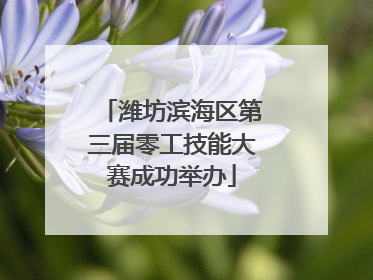潍坊滨海区第三届零工技能大赛成功举办