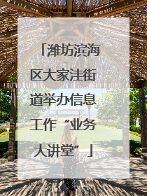 潍坊滨海区大家洼街道举办信息工作“业务大讲堂”
