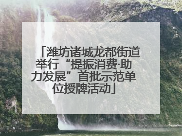 潍坊诸城龙都街道举行“提振消费·助力发展”首批示范单位授牌活动