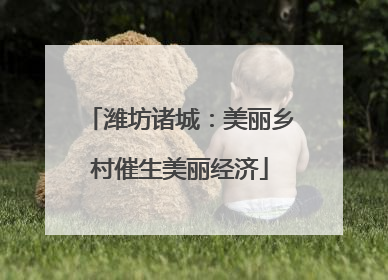 潍坊诸城：美丽乡村催生美丽经济