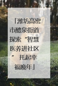潍坊高密市醴泉街道探索“智慧医养进社区” 托起幸福晚年