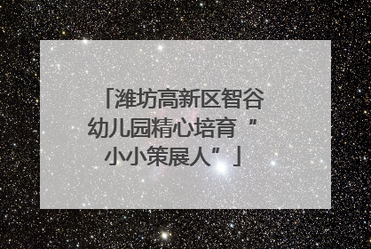 潍坊高新区智谷幼儿园精心培育“小小策展人”
