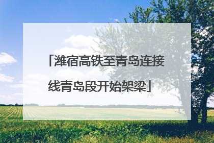 潍宿高铁至青岛连接线青岛段开始架梁
