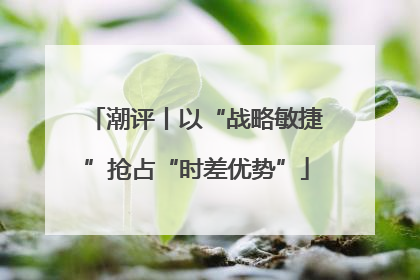 潮评丨以“战略敏捷”抢占“时差优势”