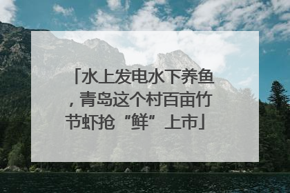 水上发电水下养鱼，青岛这个村百亩竹节虾抢“鲜”上市