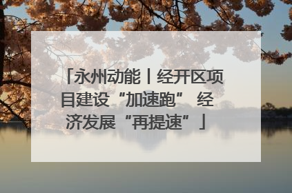 永州动能丨经开区项目建设“加速跑” 经济发展“再提速”
