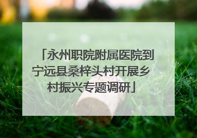 永州职院附属医院到宁远县桑梓头村开展乡村振兴专题调研