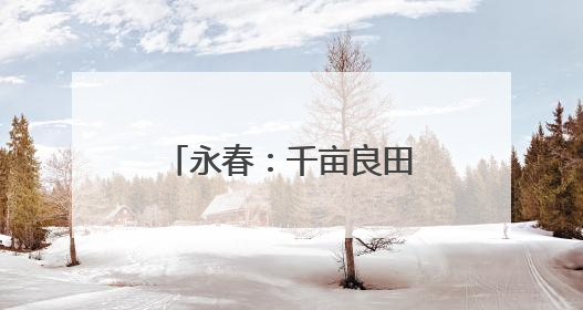永春：千亩良田筑根基 产业融合绘“丰”景
