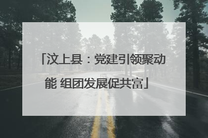 汶上县：党建引领聚动能 组团发展促共富