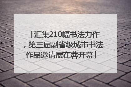 汇集210幅书法力作，第三届副省级城市书法作品邀请展在蓉开幕
