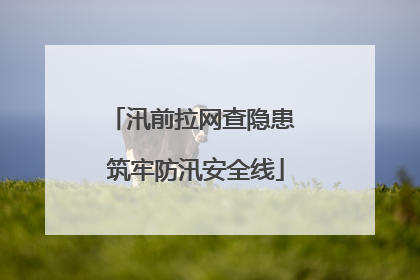 汛前拉网查隐患 筑牢防汛安全线