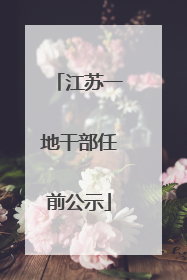 江苏一地干部任前公示