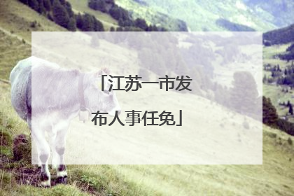 江苏一市发布人事任免