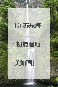 江苏东海：初夏湿地美如画