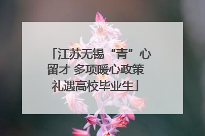 江苏无锡“青”心留才 多项暖心政策礼遇高校毕业生