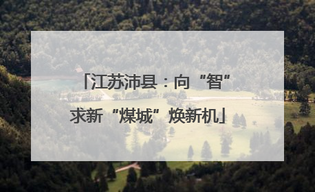 江苏沛县：向“智”求新“煤城”焕新机