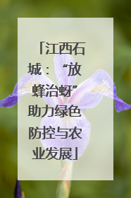 江西石城：“放蜂治蚜”助力绿色防控与农业发展