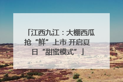 江西九江：大棚西瓜抢“鲜”上市 开启夏日“甜蜜模式”