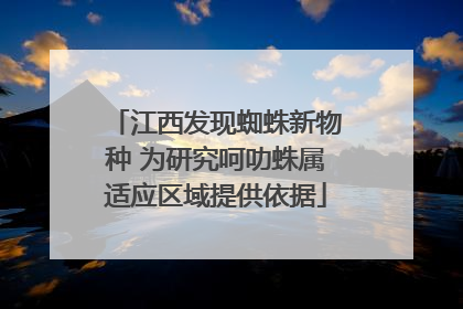 江西发现蜘蛛新物种 为研究呵叻蛛属适应区域提供依据