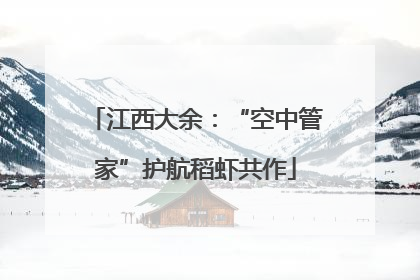 江西大余：“空中管家”护航稻虾共作