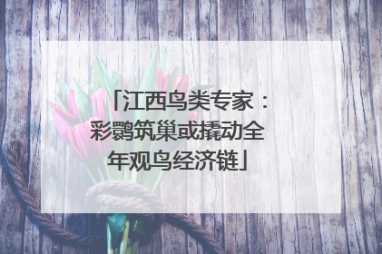 江西鸟类专家：彩鹮筑巢或撬动全年观鸟经济链