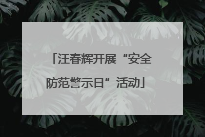 汪春辉开展“安全防范警示日”活动
