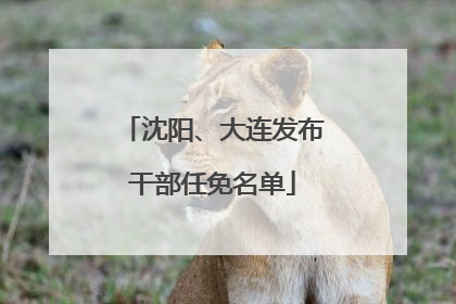 沈阳、大连发布干部任免名单