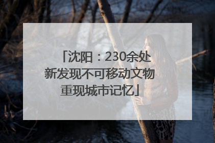 沈阳：230余处新发现不可移动文物重现城市记忆
