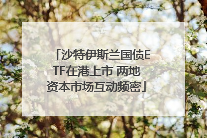 沙特伊斯兰国债ETF在港上市 两地资本市场互动频密