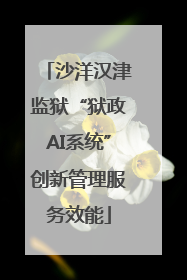 沙洋汉津监狱“狱政AI系统”创新管理服务效能